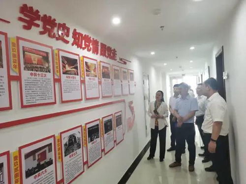 弘揚渡河精神，打造魅力孫口——臺前縣孫口鎮(zhèn)開展喜迎建黨百年主題黨日活動